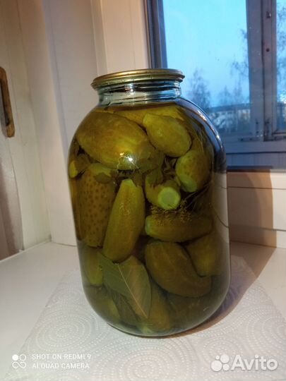 Огурцы маринованные домашние