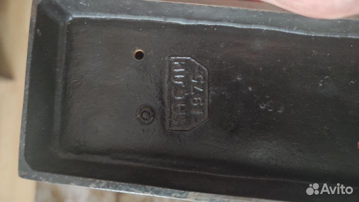 Собака борзая