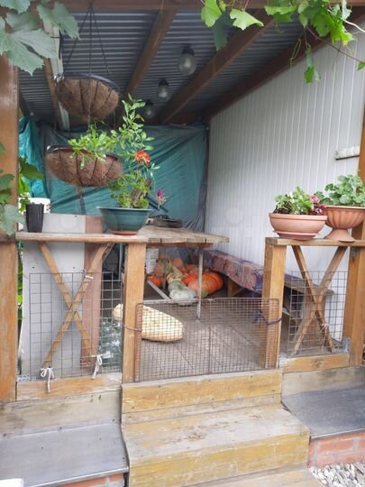 Дом 60 м² на участке 6 сот.