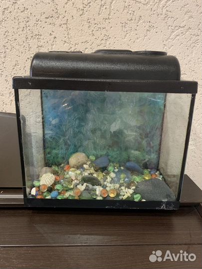 Аквариум
