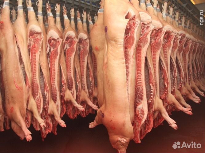 Свежее охлажденное мясо оптом