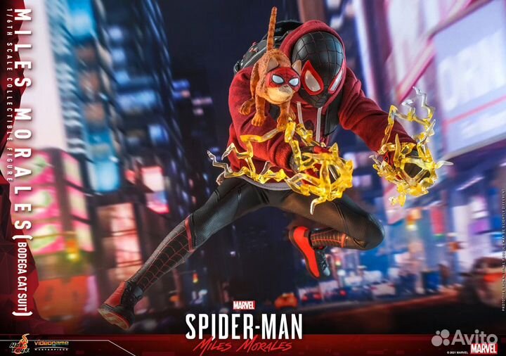 Hot Toys Spider-Man Miles M. (Bodega cat suit)