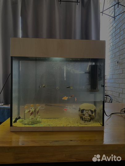 Аквариум