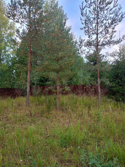 Участок 8 сот. (СНТ, ДНП)