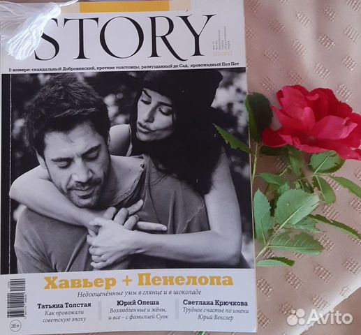 Журналы story