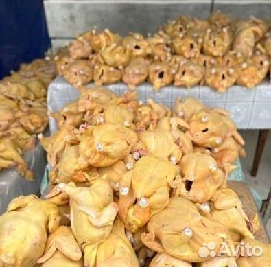 Куры охажденные халяль опт 100шт
