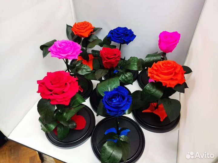 Роза в колбе оптом и в розницу