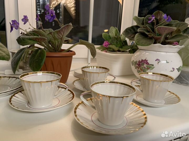 Чайная пара вербилки