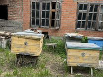 Улей ящики для пчел