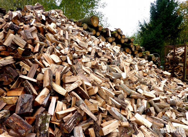 Дрова береза от производителя