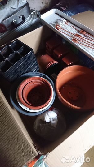 Горшки для рассады