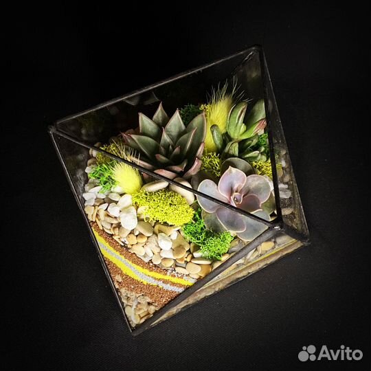 Флорариум 