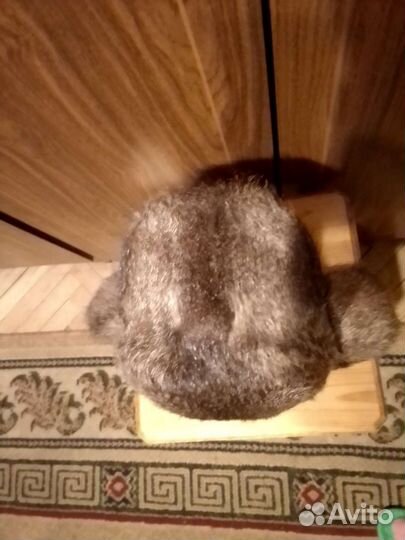 Мужская шапка ушанка