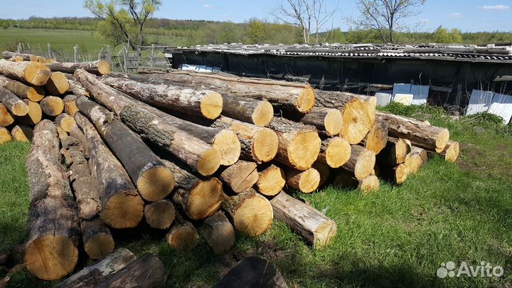 Дубовый брус, доска