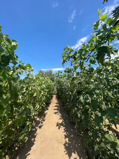 Дача 10 м² на участке 9 сот.