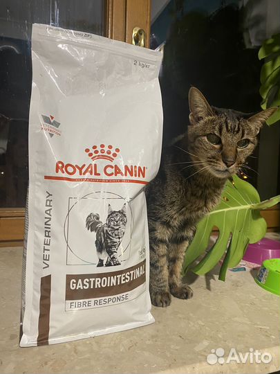 Royal canin gastrointestinal fibre response