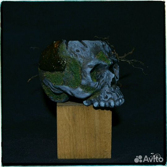 Череп Скала подставка для фэнтези миниатюры 54 мм