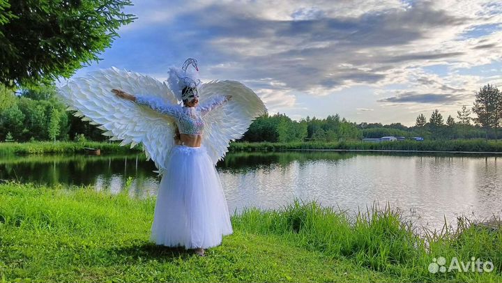 Восточные танцы. Танец живота. Шоу-программа