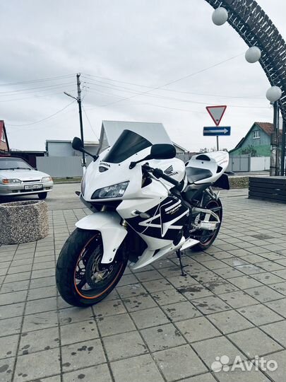 Honda cbr 600rr