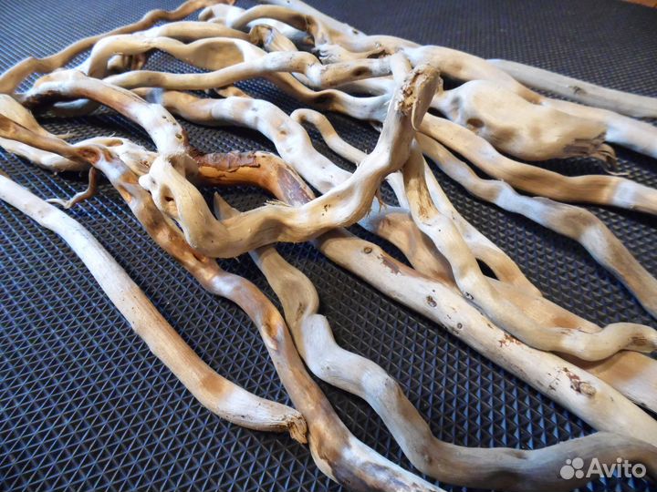 Коряги дрифтвуд