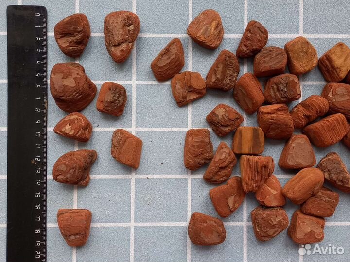 Кора для орхидей крупная 