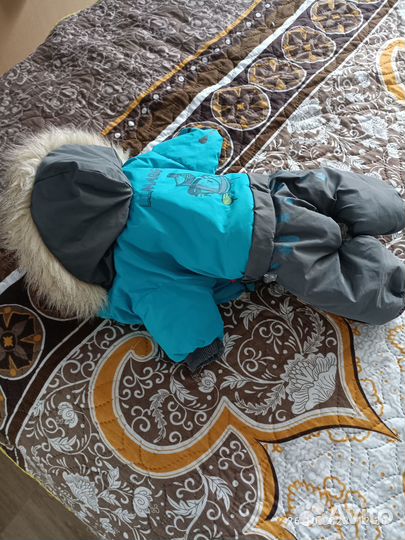 Комбинезон для маленькой собаки мальчик