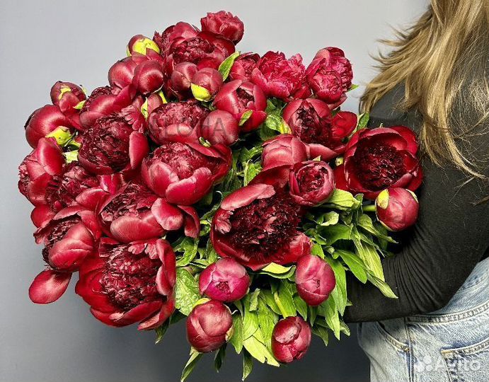 Пионы доставка цветов