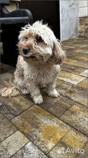 Тротуарная плитка без посредников