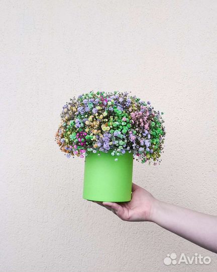 Гипсофила в шляпной коробке