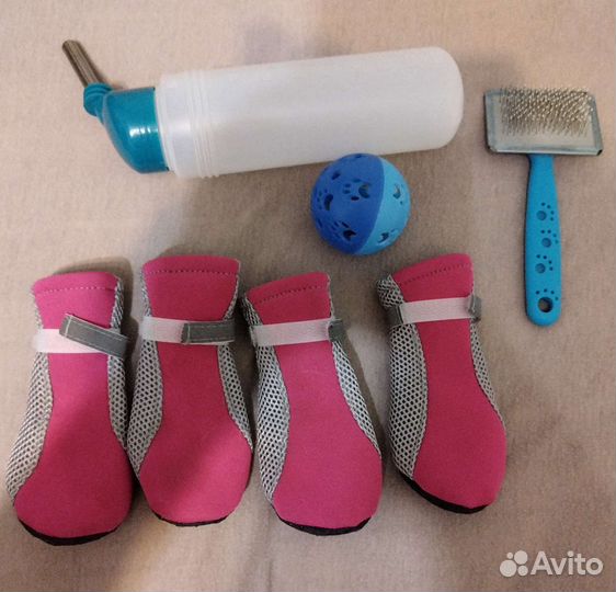 Собачьи сапожки комплект