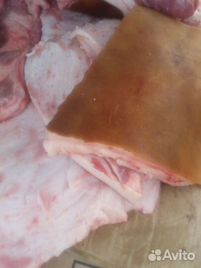 Свежее домашнее сало, свинная голова с ножками