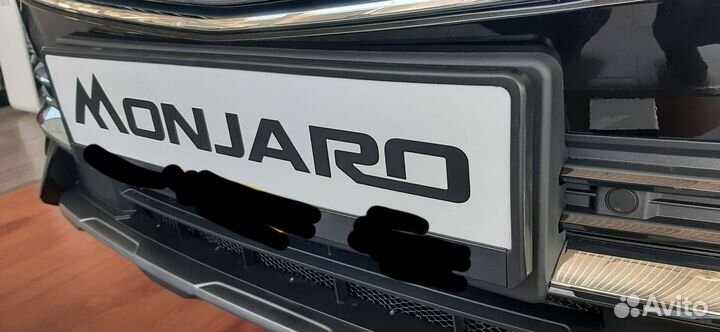 Передняя площадка номерного знака РФ Geeli Monjaro