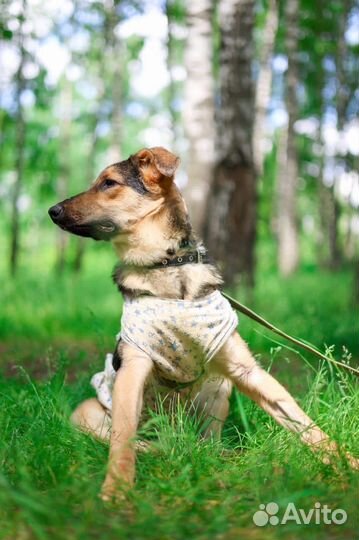 Небольшая девочка ждет свою семью