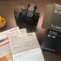 Panasonic Lumix DC-GH5S