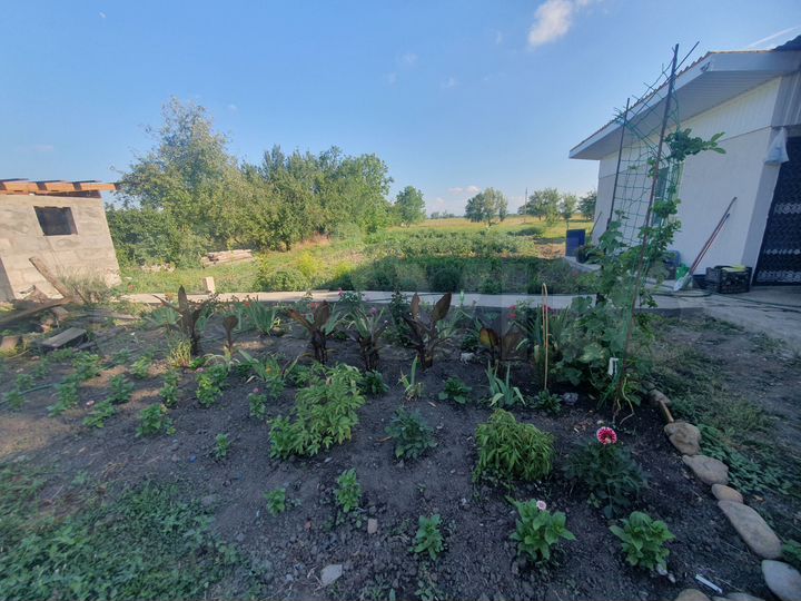 Дом 80 м² на участке 25 сот.