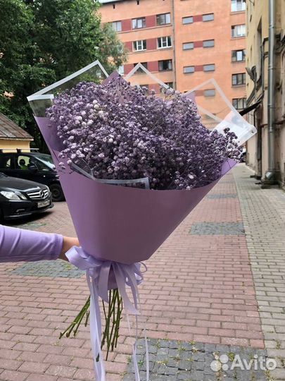 Букет из 9 фиолетовых гипсофил