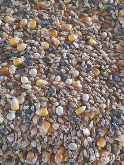 Зерносмесь