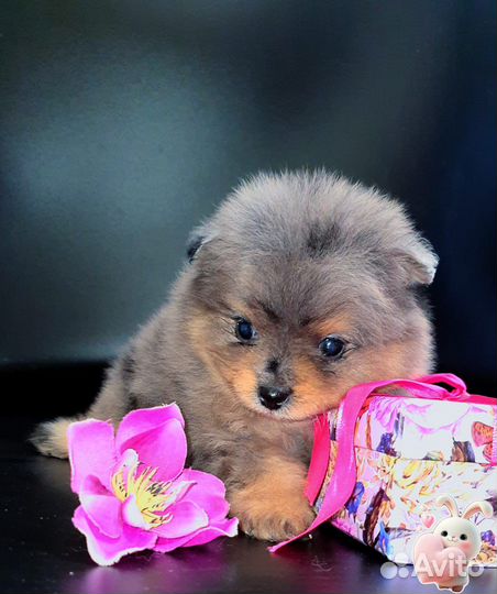 Минюшечка кукольная девочка эксклюзив,доставка