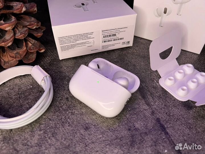 AirPOds Pro 2