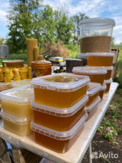 Сотовый мёд