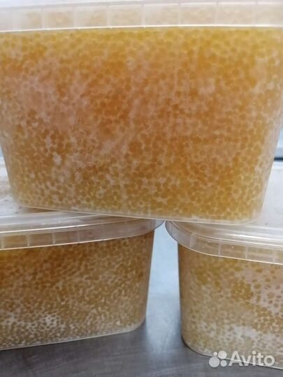 Икра щуки 2023г