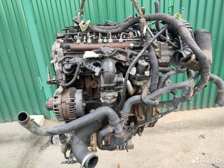 Двигатель Ford Transit 6 2.2tdci