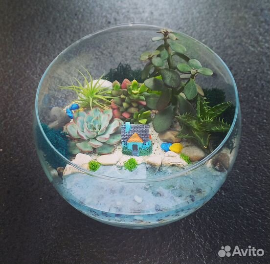 Флорариум с суккуентами