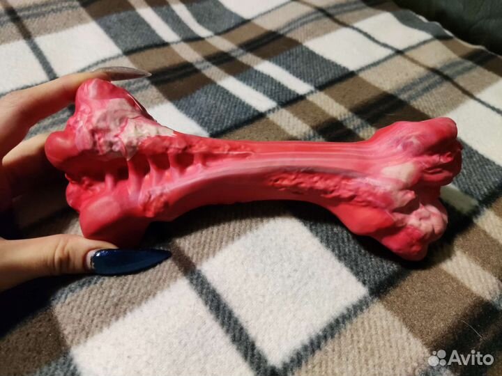 Многоразовые трусы для собак, кость для собак 21см