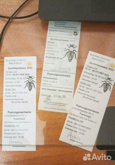 Пчелопакеты Карника и Бакфаст