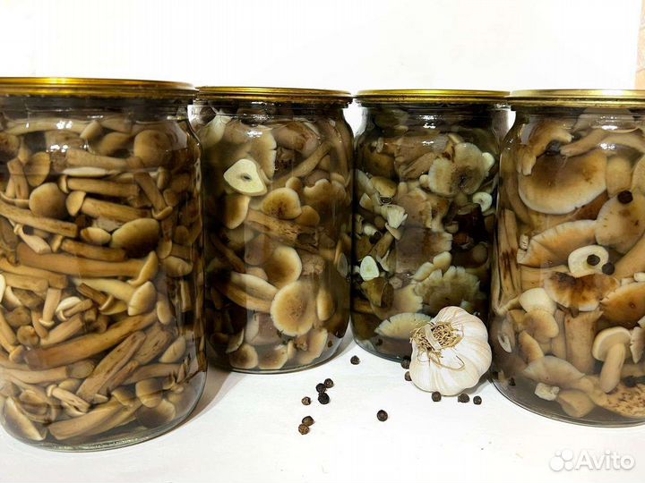 Грибы опята маринованные