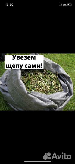 Измельчитель веток древесины (аренда) +щепа