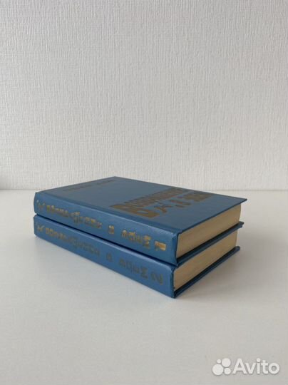 Розалин Майлз - Возвращение в Эдем