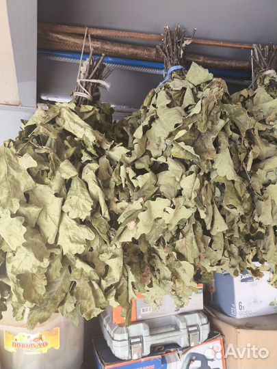 Берёзовые -дубовые веники