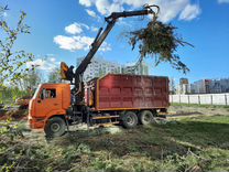 Вывоз мусора. Спил деревьев. Расчистка участка